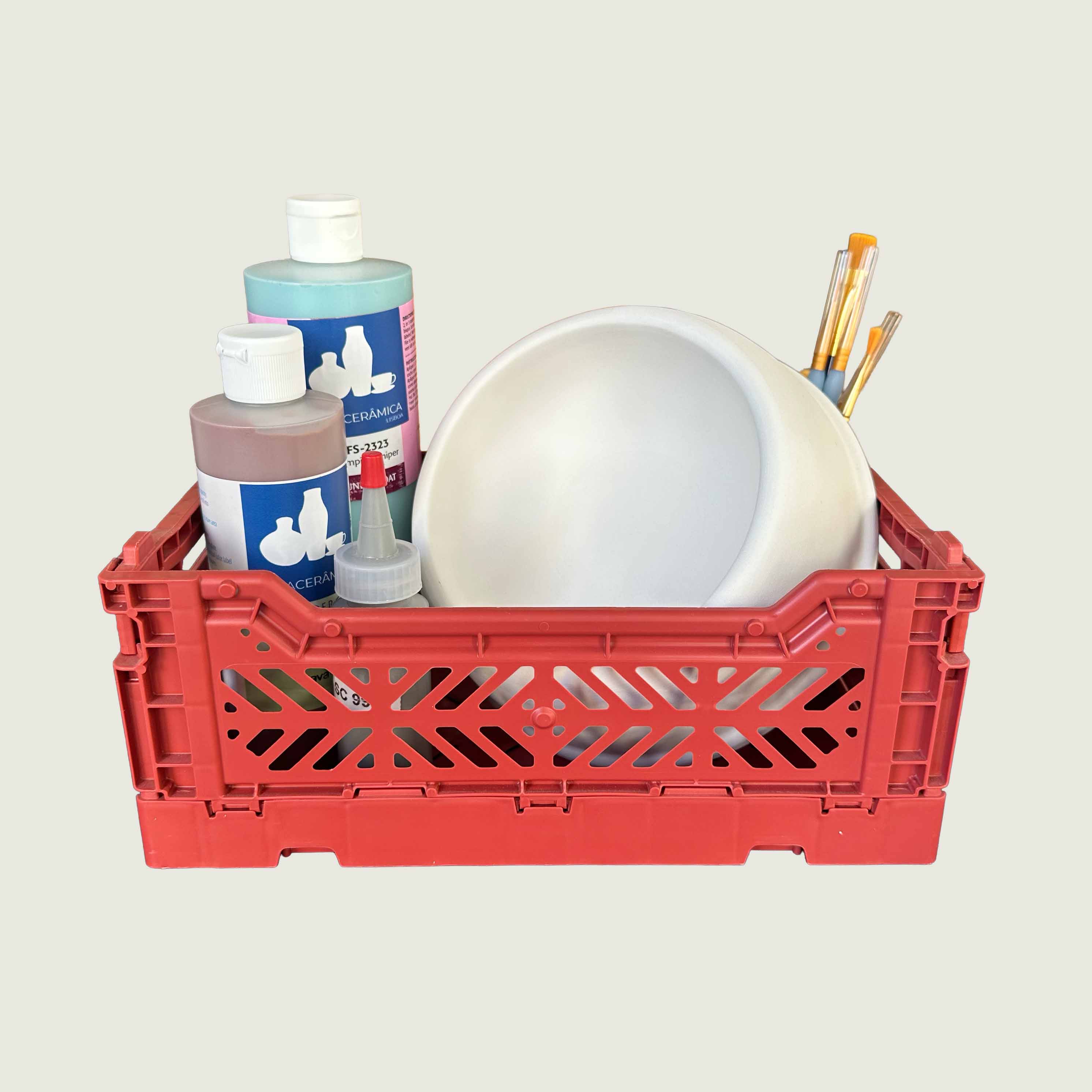 At-home pet paw print kit